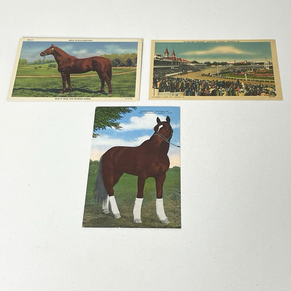 VTG Kentucky Horse Racing Postcards Man O' War Whirlaway Churchill Downs Lot 3